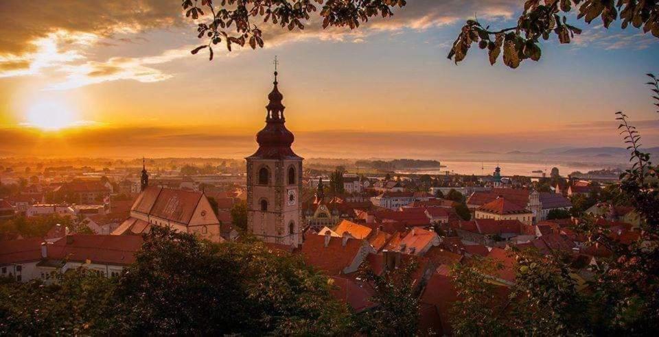 Hostel Sonce Ptuj Eksteriør billede