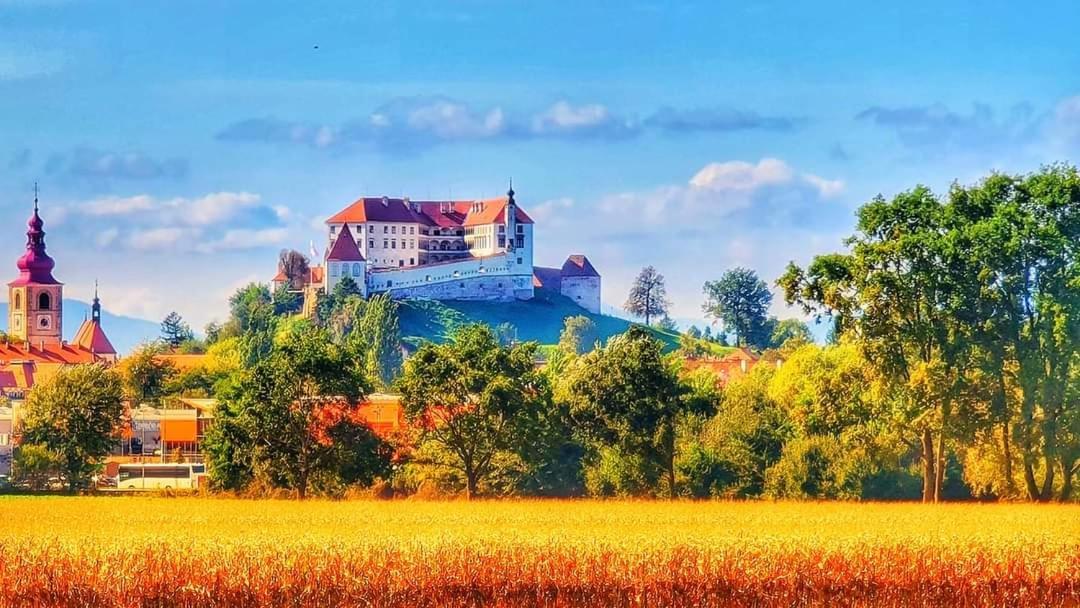 Hostel Sonce Ptuj Eksteriør billede