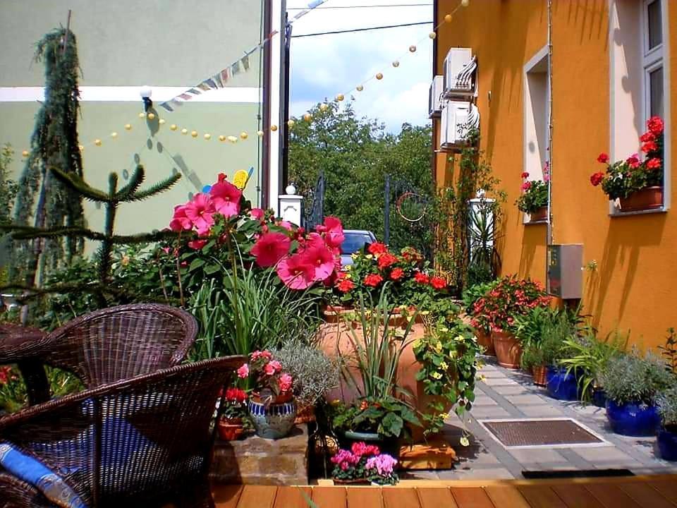 Hostel Sonce Ptuj Eksteriør billede