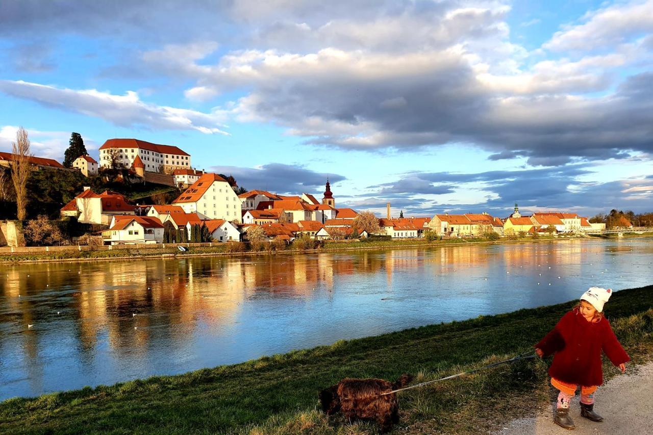 Hostel Sonce Ptuj Eksteriør billede