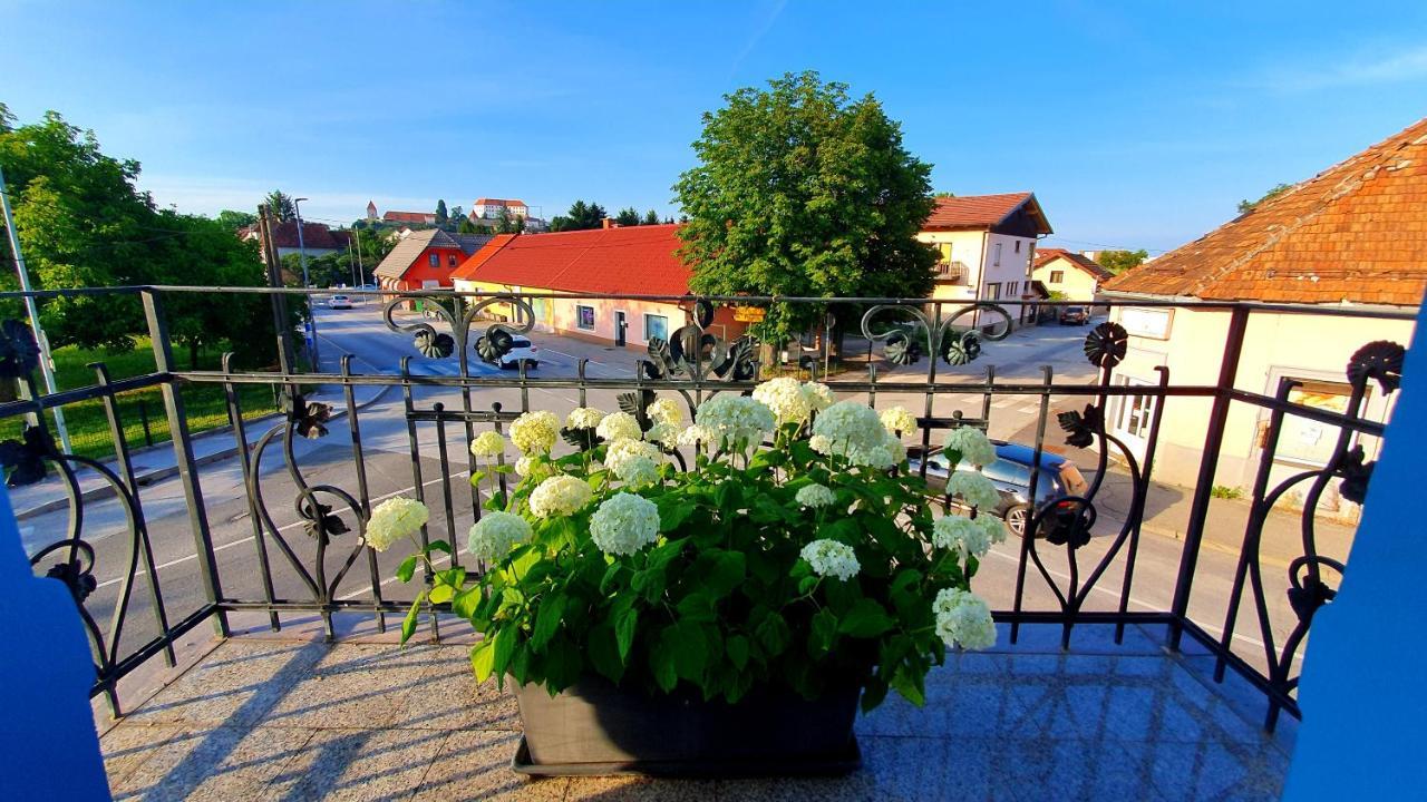 Hostel Sonce Ptuj Eksteriør billede