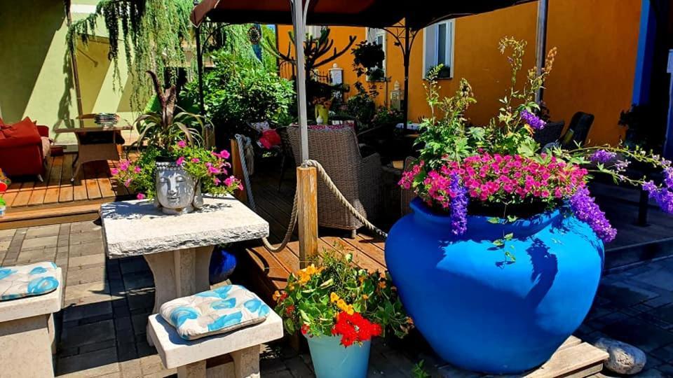 Hostel Sonce Ptuj Eksteriør billede